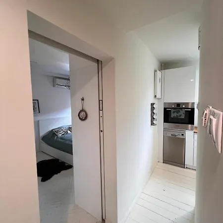 Scandinavian Zoo Atlas Arena Retkinia District Parking Daire