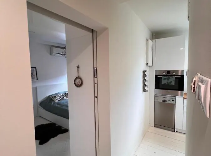 Scandinavian Zoo Atlas Arena Retkinia District Parking Daire