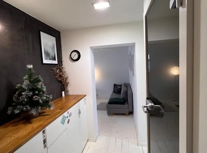 Scandinavian Zoo Atlas Arena Retkinia District Parking Łódź