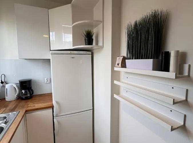 Scandinavian Zoo Atlas Arena Retkinia District Parking