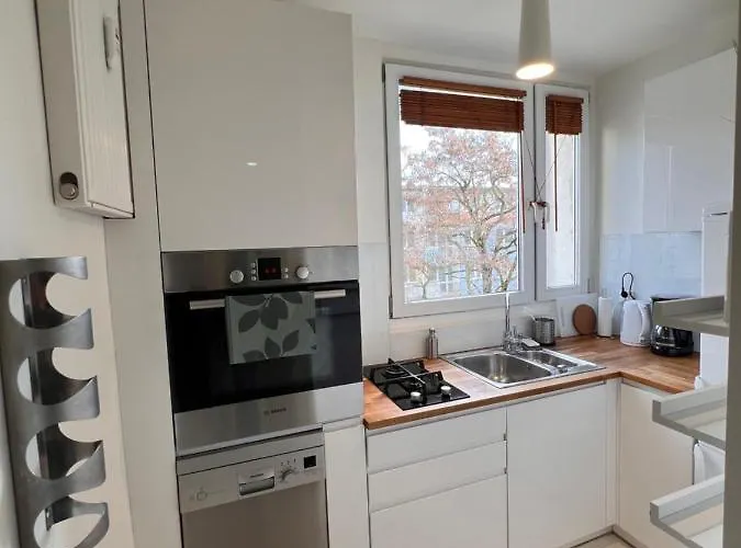 Scandinavian Zoo Atlas Arena Retkinia District Parking Daire Łódź