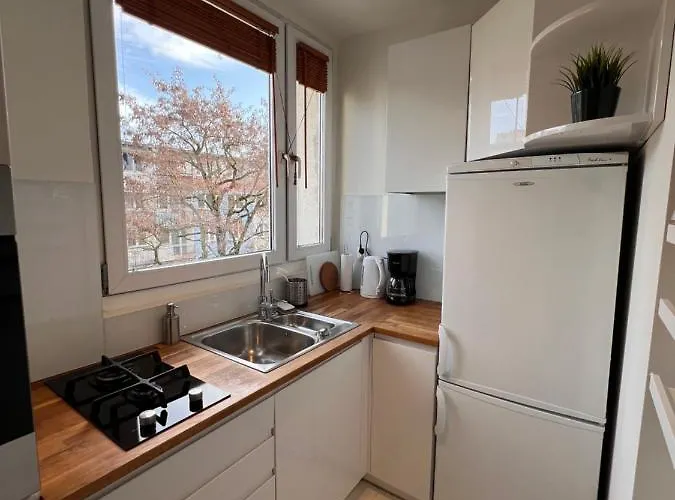 Scandinavian Zoo Atlas Arena Retkinia District Parking * Łódź