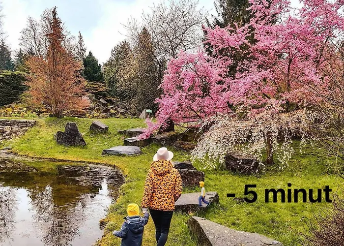 Scandinavian Zoo Atlas Arena Retkinia District Parking Daire *